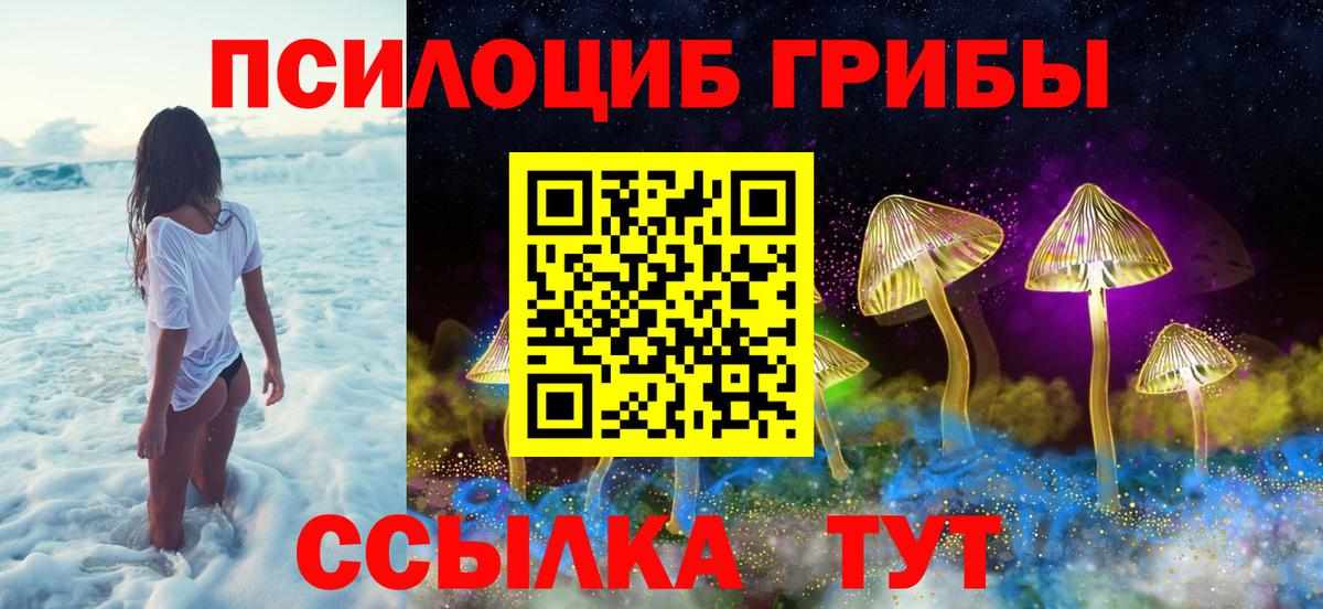 Севастополь  Псилоцибиновые грибы MAGIC MUSHROOMS  Вход с VPN 